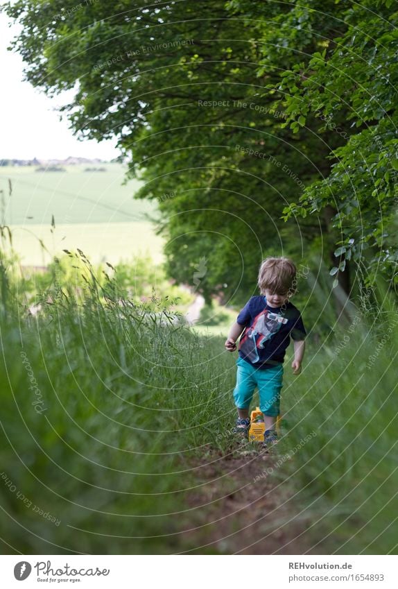 At the edge of the forest Human being Masculine Child Toddler Boy (child) 1 1 - 3 years Environment Nature Landscape Summer Beautiful weather Meadow Forest