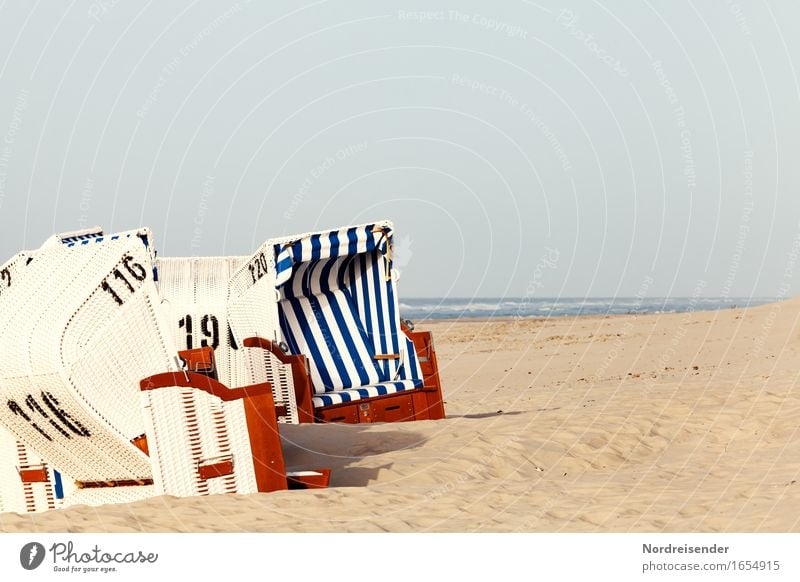 North Sea beach Swimming & Bathing Vacation & Travel Tourism Summer Summer vacation Sun Sunbathing Beach Ocean Sand Water Cloudless sky Beautiful weather