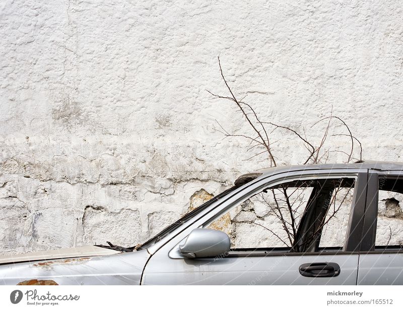 Technology Vs. Nature Colour photo Exterior shot Deserted Day Long shot Forward Tree Street Vehicle Car Observe Esthetic Dirty Cold Broken Curiosity Trashy