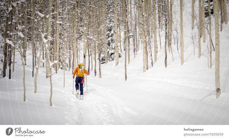 hiking through the trees Vacation & Travel Adventure Winter Snow Mountain Sports Climbing Mountaineering Skiing Human being Adults 1 Nature Landscape Tree