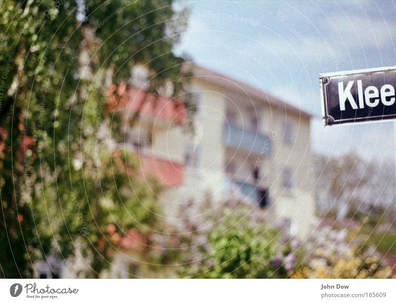 Where the clover lives. Colour photo Exterior shot Living or residing Flat (apartment) Garden Tree Clover House (Residential Structure) Apartment house Balcony