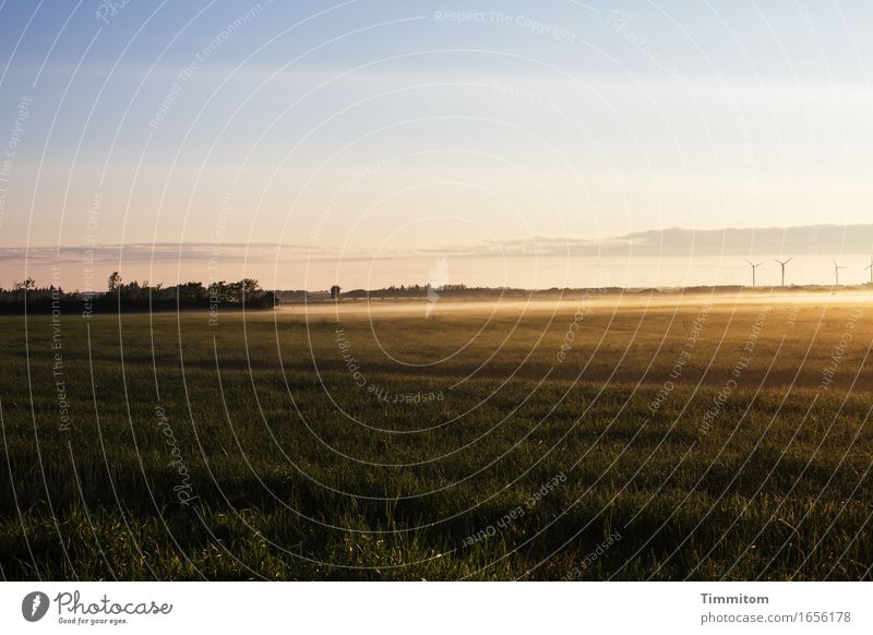 The end comes first. Vacation & Travel Environment Nature Landscape Sky Sunlight Beautiful weather Grass Bushes Field Denmark Esthetic Natural Ground fog