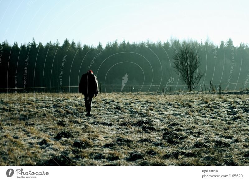 winter walk Colour photo Exterior shot Copy Space right Copy Space top Copy Space bottom Day Shadow Sunlight Shallow depth of field Central perspective