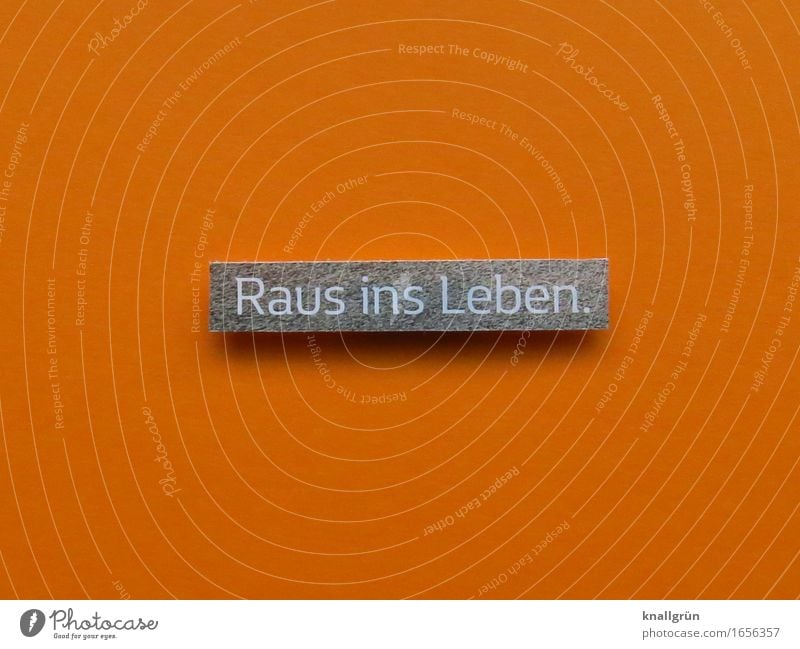 Out into life. Characters Signs and labeling Communicate Sharp-edged Gray Orange White Emotions Moody Joy Joie de vivre (Vitality) Enthusiasm Brave Adventure