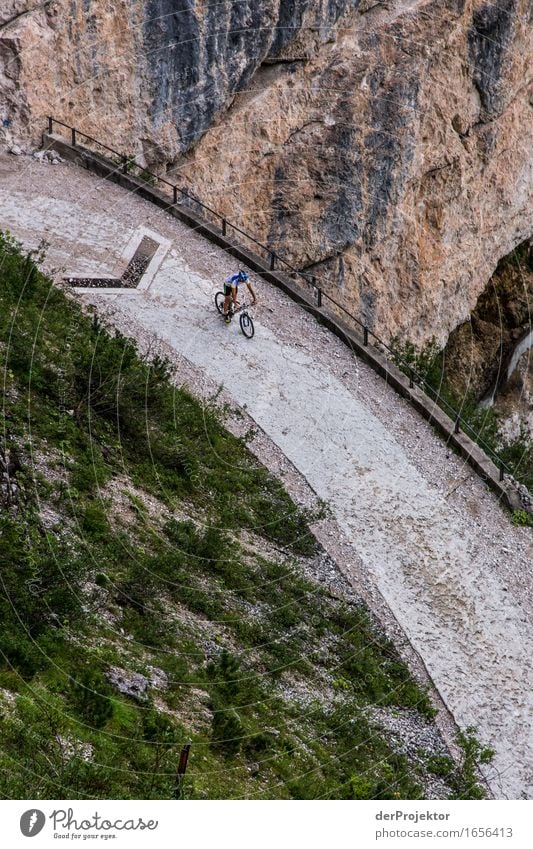 Always follow the arrow. Vacation & Travel Tourism Trip Adventure Far-off places Freedom Mountain Hiking Sports Cycling Environment Nature Landscape Plant