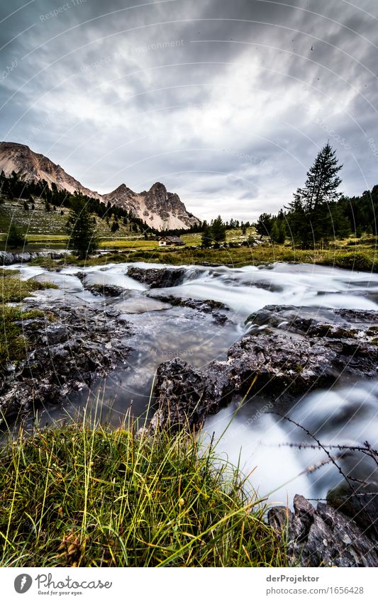 Brook on alpine pasture in the Dolomites Central perspective Deep depth of field Sunbeam Sunlight Light (Natural Phenomenon) Silhouette Contrast Shadow Day