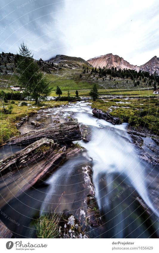 Brook on alpine pasture in the Dolomites Central perspective Deep depth of field Sunbeam Sunlight Light (Natural Phenomenon) Silhouette Contrast Shadow Day