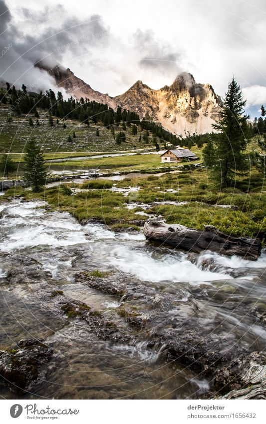 Hut with stream on alpine pasture in the Dolomites Central perspective Deep depth of field Sunbeam Sunlight Light (Natural Phenomenon) Silhouette Contrast