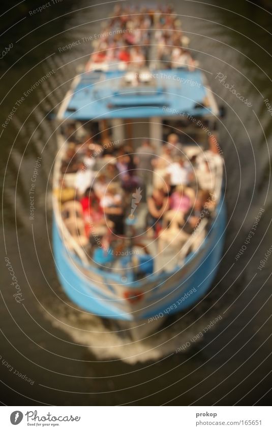 Getting bad thoughts Colour photo Exterior shot Day Shadow Contrast Blur Bird's-eye view Long shot Front view Looking Looking into the camera Upward