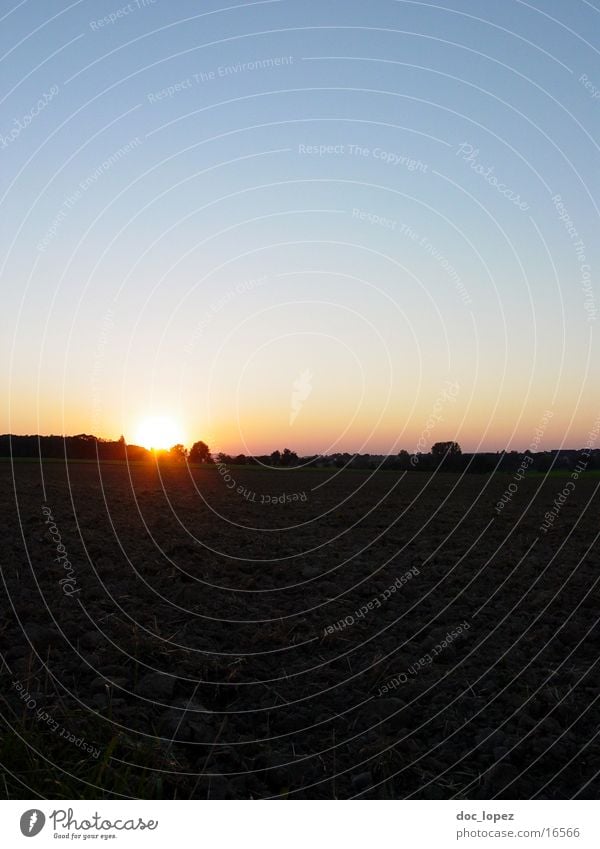 Sundown_again Sunset Field Forest Baden-Wuerttemberg Play of colours Back-light Far-off places Sky horizint Landscape Evening Moody