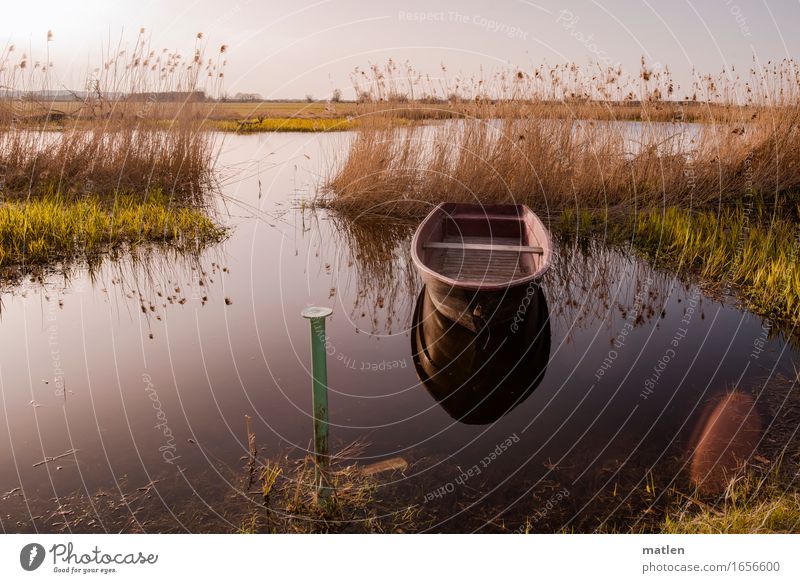 in Havelland Landscape Plant Water Sky Cloudless sky Horizon Sunrise Sunset Summer Weather Beautiful weather Grass River bank Fishing boat Lie Brown Yellow