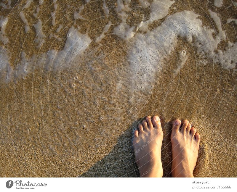 a long trip Colour photo Abstract Day Sunlight Sunbeam Bird's-eye view Downward Lifestyle Vacation & Travel Trip Freedom Summer Summer vacation Beach Ocean