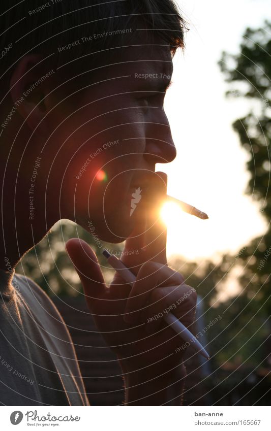 Pulling on the Zissl Subdued colour Exterior shot Detail Evening Twilight Light Shadow Silhouette Sunlight Sunbeam Back-light Portrait photograph Profile