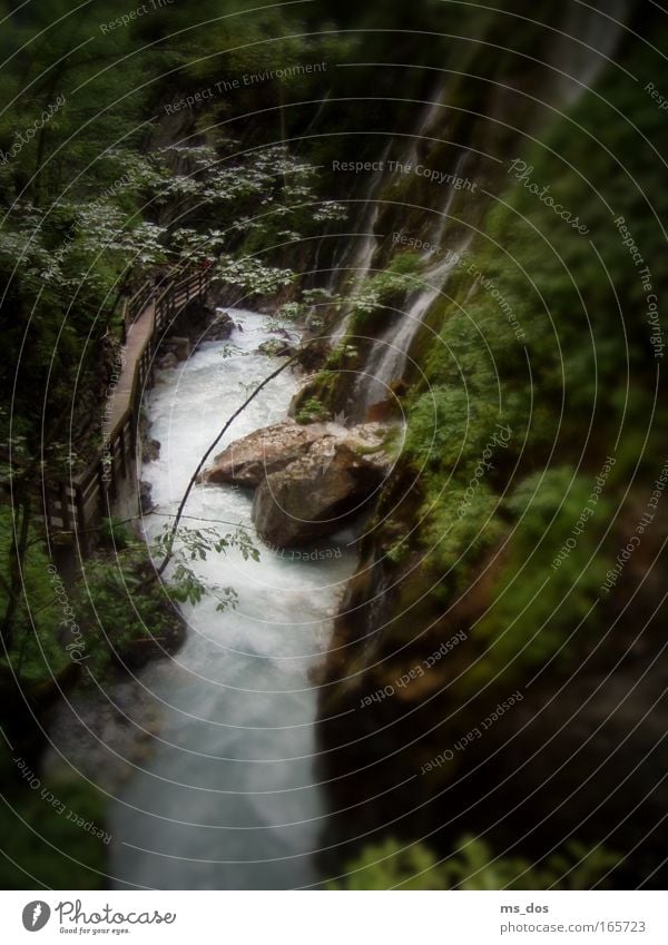 Toy landscape in Berchtesgaden Colour photo Exterior shot Deserted Day Deep depth of field Long shot Downward Hiking Nature Landscape Animal Earth Water Grass