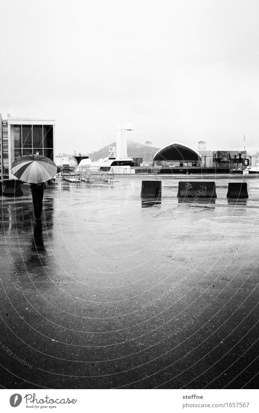 rain Autumn Bad weather Rain Gloomy Oslo Umbrella Places Dreary Sadness Black & white photo Exterior shot Copy Space right Copy Space top Copy Space bottom