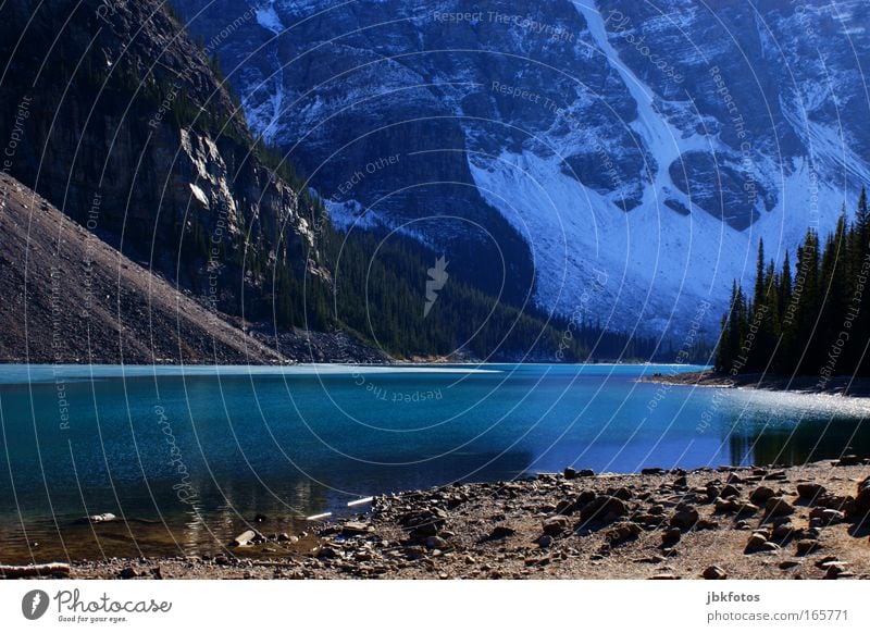 Somewhere in nowhere North America Newfoundland Nature Lake Water Elements Mountain Snow Glacier Canada Lakeside Reflection Calm Loneliness Plant Stone