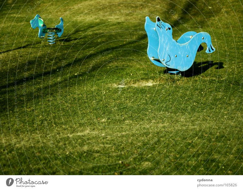 favourite animal Colour photo Exterior shot Detail Deserted Copy Space left Copy Space bottom Day Shadow Sunlight Shallow depth of field Central perspective