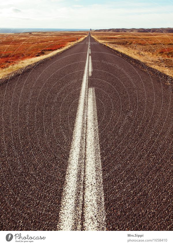 straight ahead Nature Landscape Iceland Deserted Traffic infrastructure Street Movement Driving Contentment Calm Longing Wanderlust Loneliness Colour photo