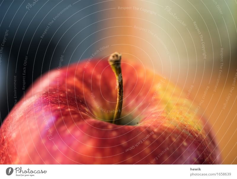 apple Food Fruit Apple Nature Multicoloured Yellow Red Colour photo Interior shot Close-up Detail Copy Space top Day Blur Shallow depth of field