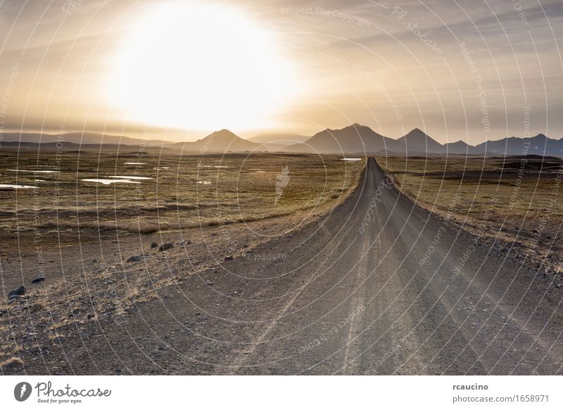 Iceland: empty road in the sub-artic icelandic landscape. Landscape Calm Europe exploration Mountain Nature Deserted Exterior shot paved Street Straight Edge