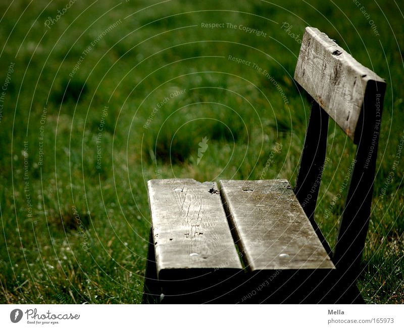 Take plenty of room Colour photo Subdued colour Exterior shot Deserted Copy Space left Copy Space top Day Bench Park bench Wood Old Simple Gloomy Longing