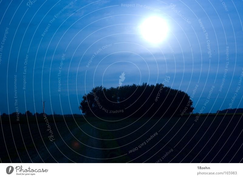 Under a blue moon Colour photo Exterior shot Deserted Copy Space top Evening Light Sunlight Sunbeam Sunrise Sunset Back-light Panorama (View) Environment Nature