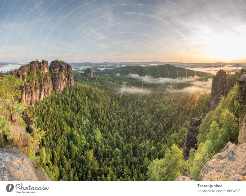 sunrise Nature Landscape Sky Beautiful weather Fog Tree Forest Hill Rock Hiking Sunrise Morning Dawn Morning fog Dresden Germany Bad Schandau Elbe