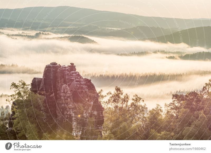 Beautiful morning for a hike Nature Landscape Sky Sun Sunrise Sunset Sunlight Spring Fog Tree Forest Hill Rock Hiking Morning Dawn Morning fog Germany