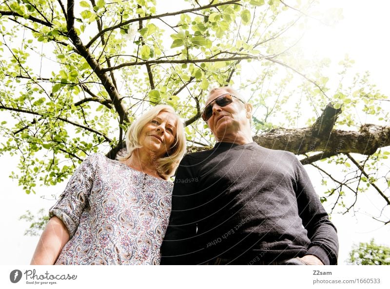 twosome Lifestyle Elegant Style Couple Partner 60 years and older Senior citizen Environment Nature Landscape Sun Spring Summer Beautiful weather Tree Bushes