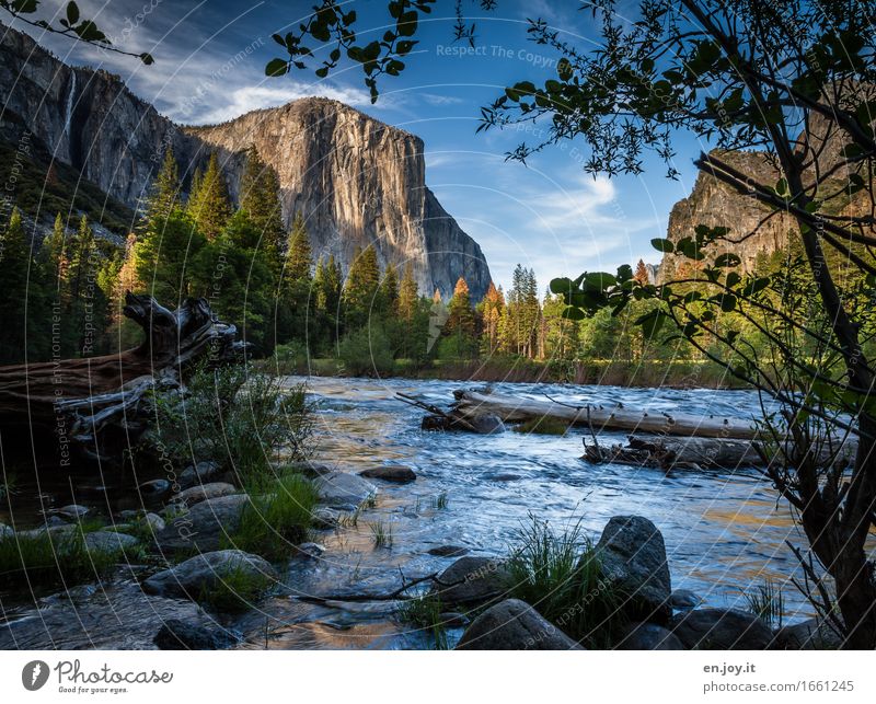 1000m Granite (high) Calm Vacation & Travel Trip Summer vacation Mountain Environment Nature Landscape Sunrise Sunset Beautiful weather Tree Rock El Capitan