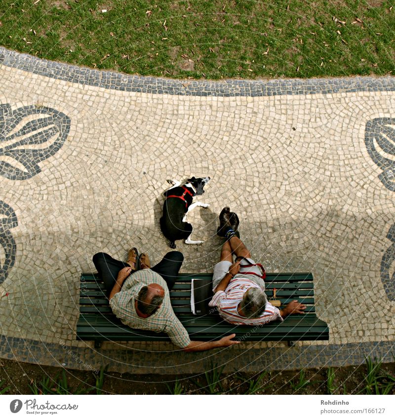 siesta Colour photo Exterior shot Copy Space top Day Shadow Bird's-eye view Joy Happy Leisure and hobbies Trip City trip Summer Human being Masculine