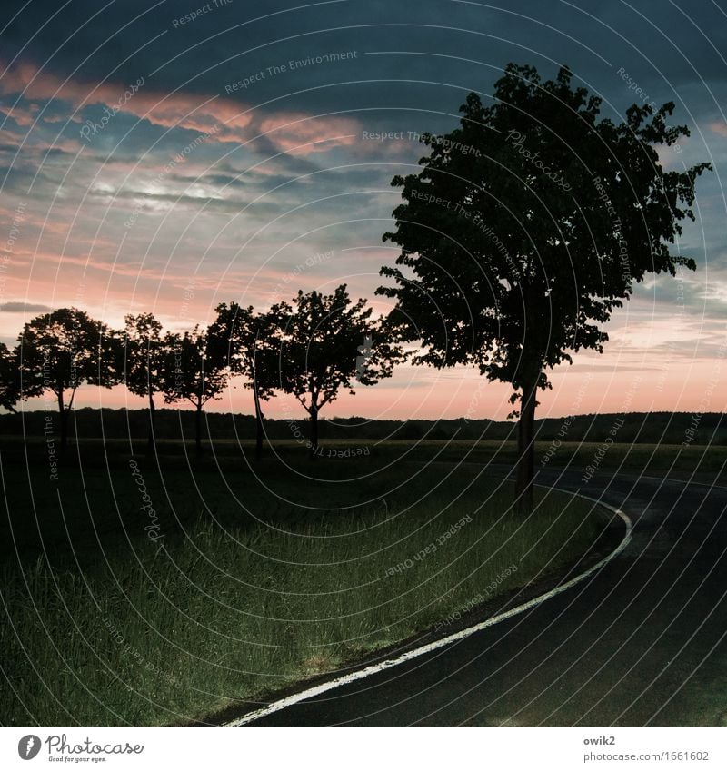 evening curve Environment Nature Landscape Plant Sky Clouds Horizon Summer Beautiful weather Tree Grass Transport Traffic infrastructure Street Roadside