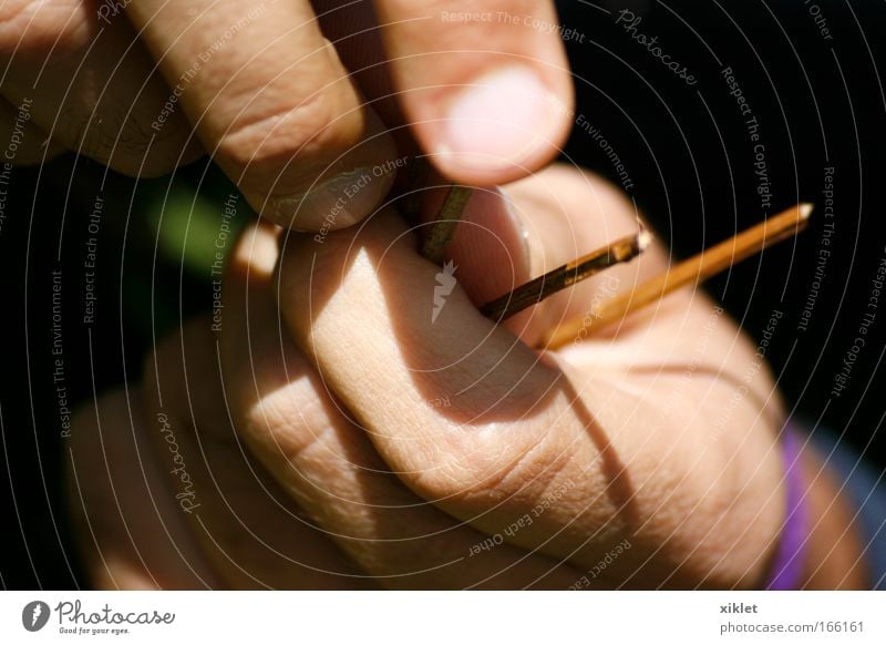 hand Colour photo Macro (Extreme close-up) Sunlight Front view Skin Hand Fingers Human being Nature Plant Flower Grass Bushes Park Field Wood Touch Paying