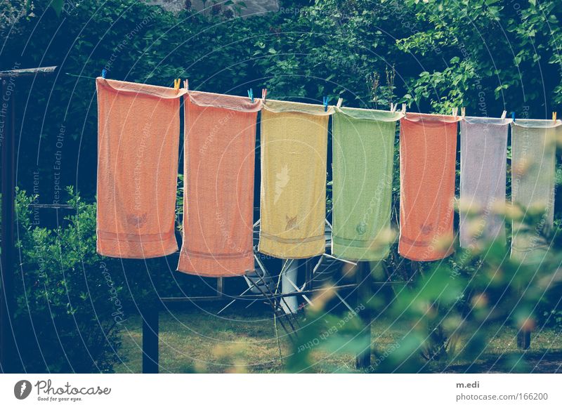 The Hanged Colour photo Day Grass Bushes Garden Towel Clothesline Good Housekeeping