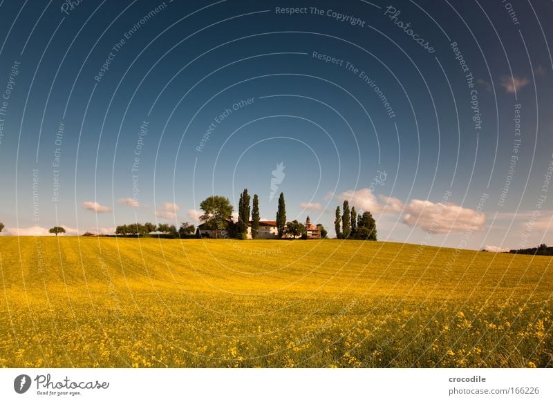 Rapeseed #16 Colour photo Exterior shot Deserted Copy Space left Copy Space right Copy Space top Day Long exposure Deep depth of field Wide angle Environment