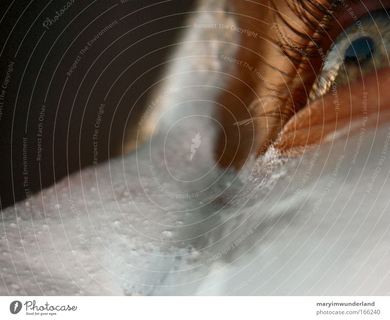 the quiet inside my mind Colour photo Looking away Personal hygiene Skin Eyes Nose Eyelash Cream Pupil Detail Macro (Extreme close-up) Partially visible