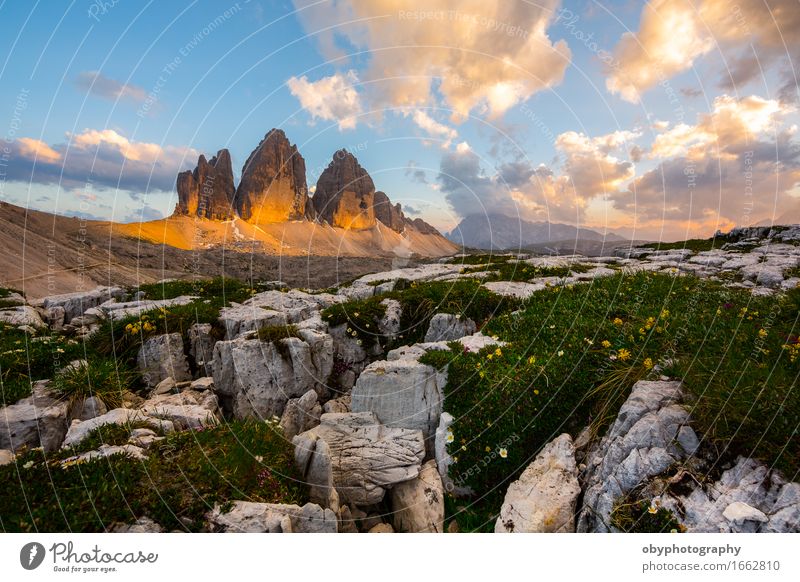 Sunset over the peaks Beautiful Vacation & Travel Mountain Climbing Mountaineering Hiking Nature Landscape Sky Clouds Sunrise Summer Rock Alps Peak Stone Gold