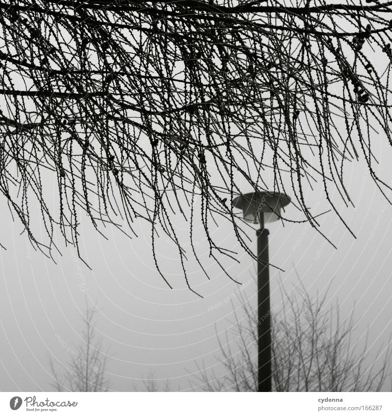 Light off Colour photo Exterior shot Detail Deserted Copy Space left Copy Space top Copy Space bottom Day Shadow Contrast Deep depth of field