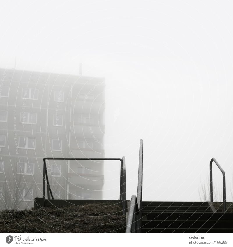 social behaviour Colour photo Exterior shot Deserted Copy Space right Copy Space top Morning Day Shadow Contrast Shallow depth of field Worm's-eye view