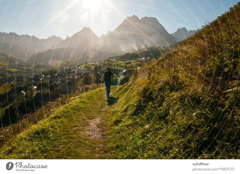 Now stay still! Human being Masculine Man Adults 1 Environment Nature Landscape Cloudless sky Sun Sunrise Sunset Sunlight Summer Beautiful weather Grass Meadow