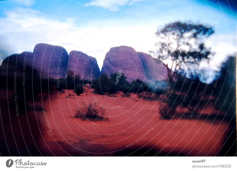 The Olga's. Colour photo Exterior shot Experimental Deserted Sunlight Blur Wide angle Environment Nature Landscape Earth Hill Rock Canyon Tourist Attraction