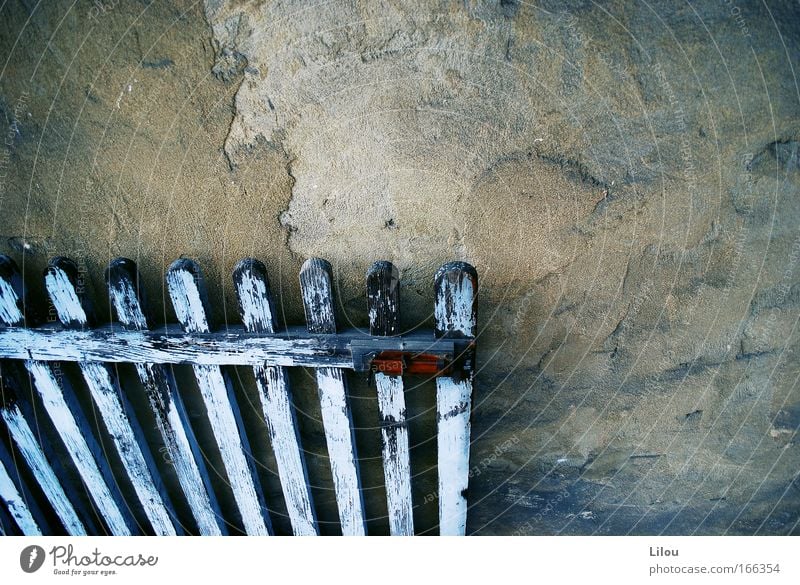 Sunday at grandma's. Colour photo Exterior shot Deserted Copy Space right Copy Space top Day Bird's-eye view Stone Wood Old Fence Gate Door Derelict Flake off