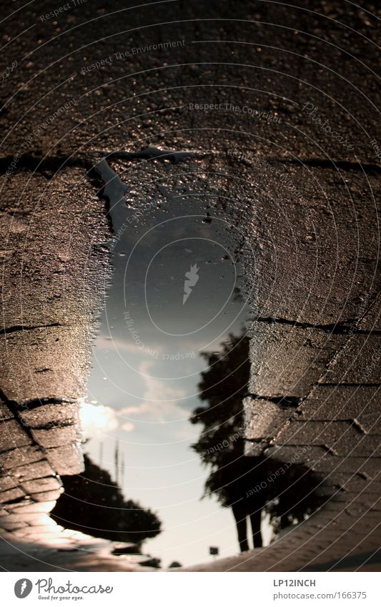 [HH 09.4/3] You eat pancakes - I puddle take pictures Colour photo Exterior shot Experimental Copy Space top Copy Space middle Evening Reflection Sunlight