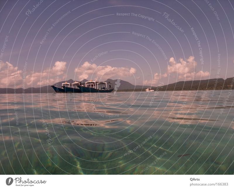 Menjangan National Park Colour photo Multicoloured Exterior shot Underwater photo Deserted Copy Space top Copy Space bottom Day Reflection Sunlight