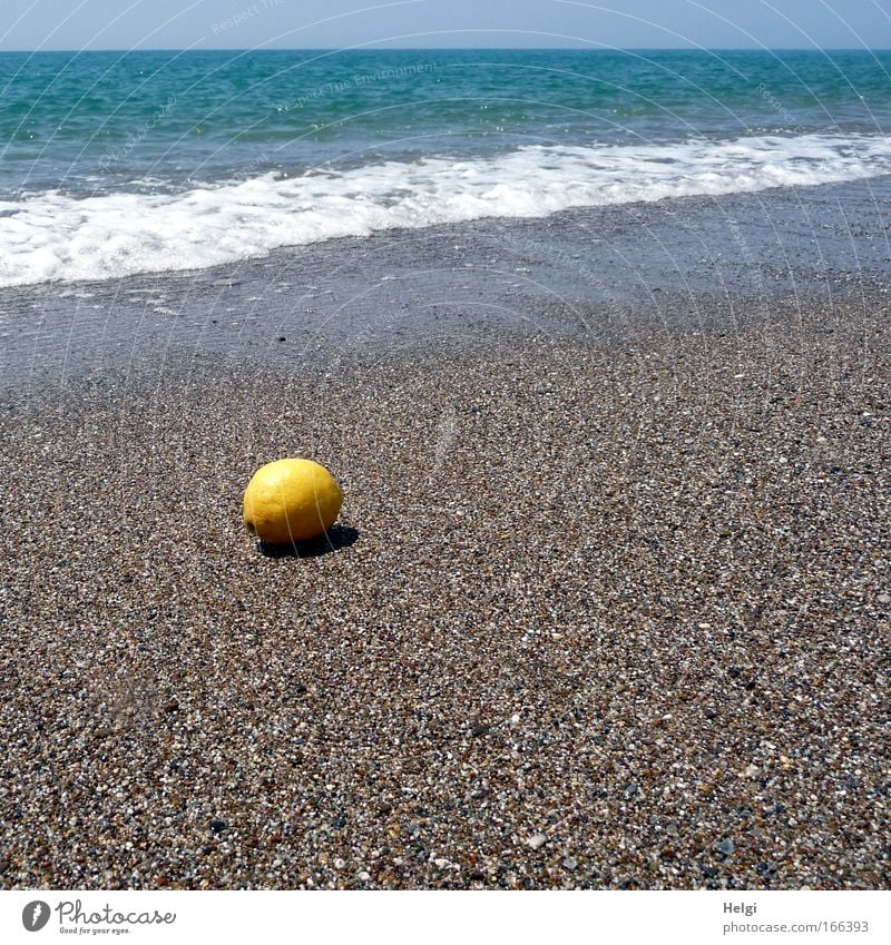 lost property Colour photo Exterior shot Deserted Copy Space right Copy Space bottom Day Shadow Sunlight Worm's-eye view Food Fruit Vacation & Travel Summer