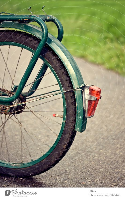 bicycle romance Environment Autumn Rain Wet Asphalt Street Footpath Meadow Rear light Old Retro Gray Tire Green luggage carrier Break Stop Detail Nature Vintage