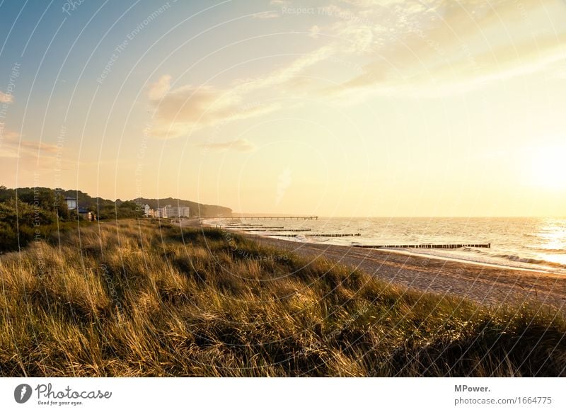 Heiligendamm Environment Nature Landscape Beautiful weather Warmth Meadow Hill Waves Coast Beach Bay Baltic Sea Ocean Bright Dune Break water Vacation & Travel