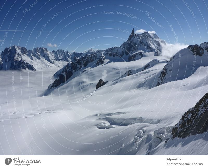 Glacier du Geant Climate change Ice Frost Snow Alps Mountain Dent de Geant Mont Blanc Peak Snowcapped peak Gigantic Cold Dream Loneliness Fear of heights