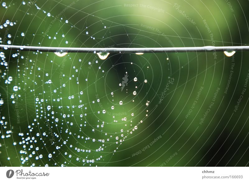 wet network Colour photo Exterior shot Deserted Day Blur Long shot Spider's web Metal Water Nature Network Drops of water Wire Fence Tense woven Weave Highlight