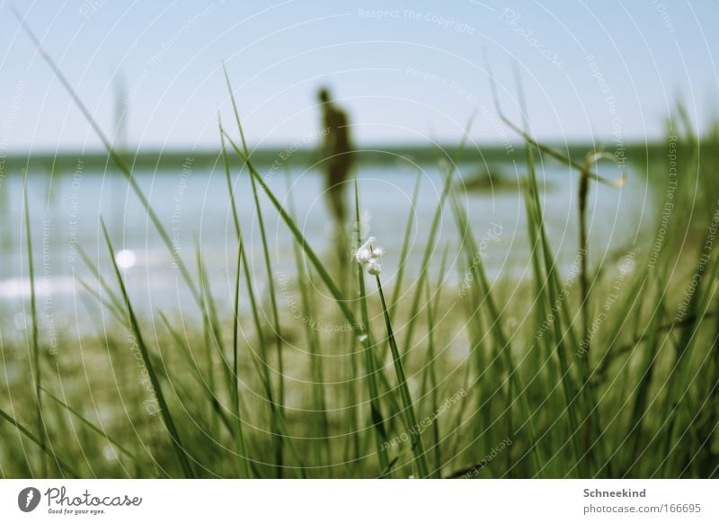 also at the lake Colour photo Exterior shot Day Silhouette Sunlight Sunbeam Shallow depth of field Central perspective Long shot Harmonious Relaxation Calm Trip